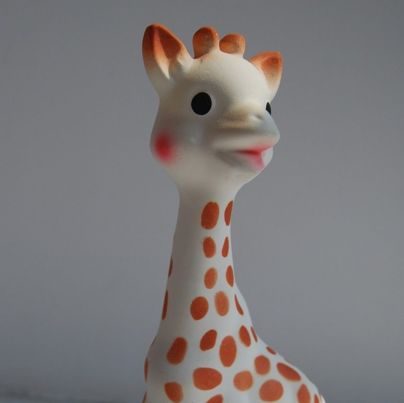 Giraffe als Beißring